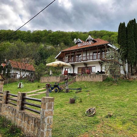Villa Balconlux - Zavojsko Jezero, Pirot Luaran gambar