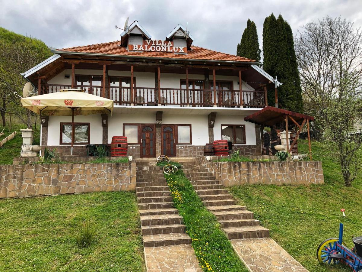 Villa Balconlux - Zavojsko Jezero, Pirot Luaran gambar